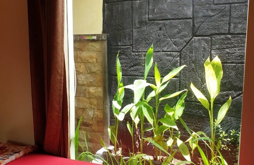 Banyuwangi House | Nita's Homestay Banyuwangi