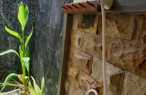 Banyuwangi House | Nita's Homestay Banyuwangi