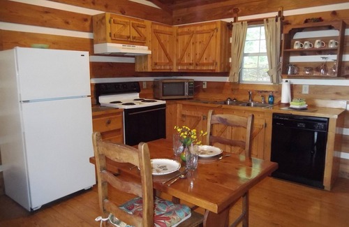 Gatlinburg - Pigeon Forge Cabin | Nite Vu Cabin:A Light and Airy Retreat with Mountain Views, Hot Tub, and Jacuzzi