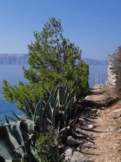 Senj Apartment | Nives