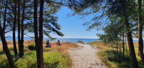 Falkvik House | Njut av solen, havet, stranden!