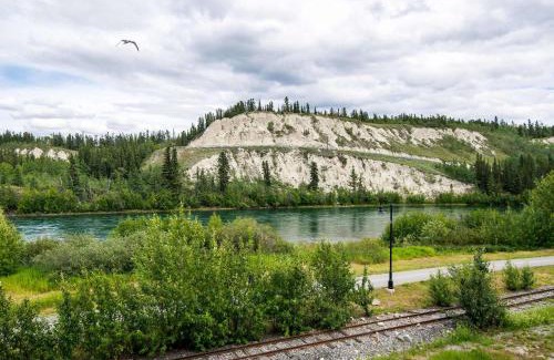 Whitehorse House | NN - Wind River #2 - Downtown 2-bed 2-bath