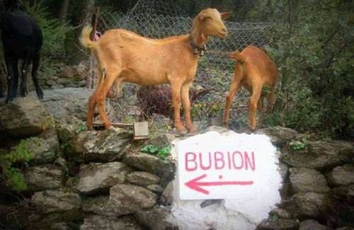 Bubion Apartment | No longer for rent