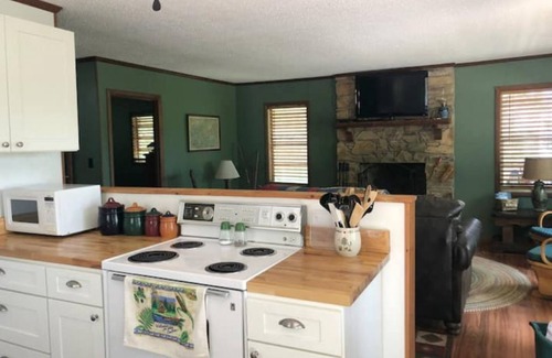 Robbinsville Cabin | No steps and dogs welcomed!