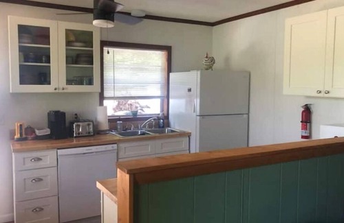 Robbinsville Cabin | No steps and dogs welcomed!