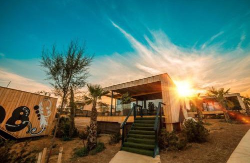 Zrce Resort | Noa Island Retreat