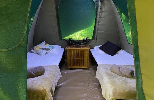 Thornton Beach Cabin | Noah Creek Eco Huts