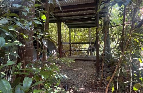 Thornton Beach Cabin | Noah Creek Eco Huts