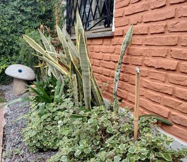 Ezeiza Apartment | Noah House Ezeiza