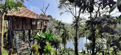 Pirmed House | Noah's Nest Tree House