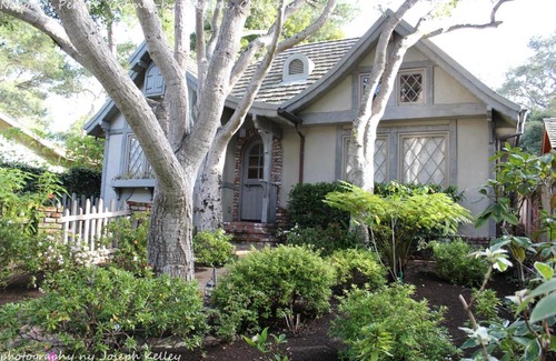 Golden Rectangle House | Nobodys Perfect In the Heart of the Golden Rectangle 5 blocks to Beach and Town no hills