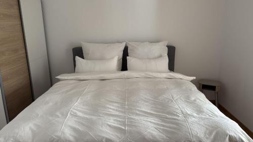 Ehrenfeld Apartment | Noe Apartment