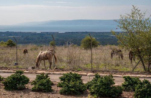 Had Nes Cabin | Nof Kinneret Cabins