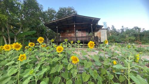 Chiang Dao House | Nokkamin Home Chiang Dao