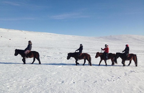 Tov House | Nomad Horse Camp