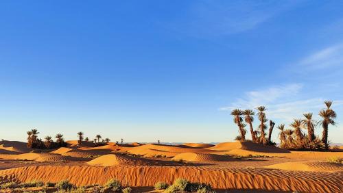 M'Hamid El Ghizlane Other | Nomads Heaven Camp