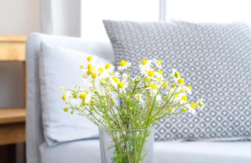 Noer Apartment | Nordlichtferienwohnungnoer