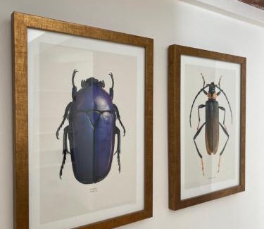 Brighton City Centre House | North Laine Sunny Cottage - PARKING available