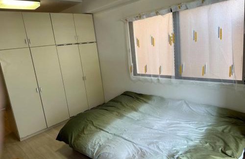 Hiroshima City Centre Apartment | North River 203 Peace Wing 2C