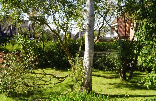 Wangerland House | North Sea coast, charming house with fireplace, winter garden, beach chair, new: sauna