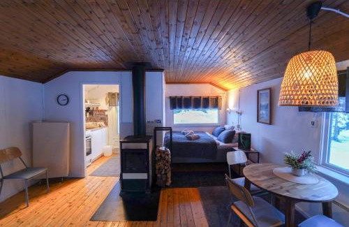 Jukkasjarvi House | Northern Light Cottage