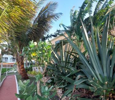 Dickenson Bay Hotel | Northshore Seaside Suites