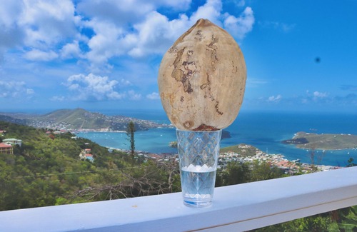 Estate Lilliendal and Marienhoj Apartment | Northside Studio vacation rental