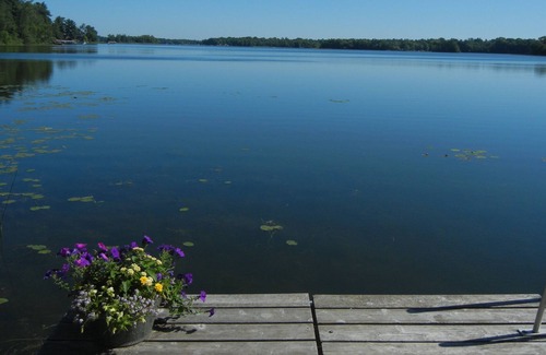 Grantsburg Cabin | Northwoods Cabin on Big Wood Lake
