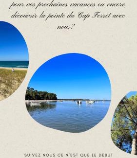 Claouey Other | Notre bulle du ferret