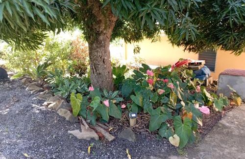 Le Marin House | Noukatchimbe Bungalow avec piscine partagée pour 2 à 4 personnes