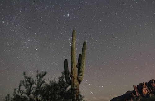 Apache Junction House | Nova 03: A one bedroom suite and gorgeous desert views, Nova #3