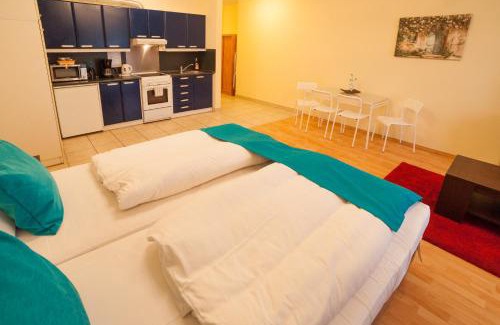 Erzsebetvaros Apartment | Nova Apartments