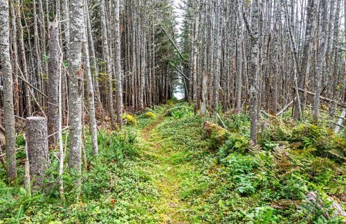 Guysborough County House | Nova Scotia Grover's Cove Seaside Cottages