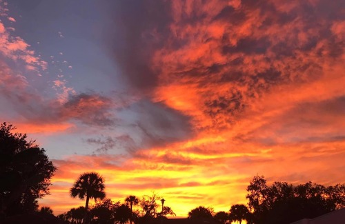 Turnbull Plantation House | NOW AVAILABLE! POOL HOME, PET FRIENDLY NEAR THE BEACH