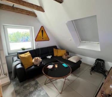 Walbrzych Apartment | Nowe miasto