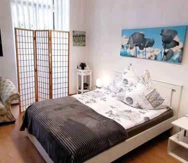 Annaberg-Buchholz House | Nr 3 Großzügiges Kamin-Zimmer mit King-Size Bett im Zentrum WLAN TV gute Laune