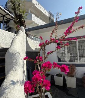 Pumdi Bhumdi Villa | NS Villa