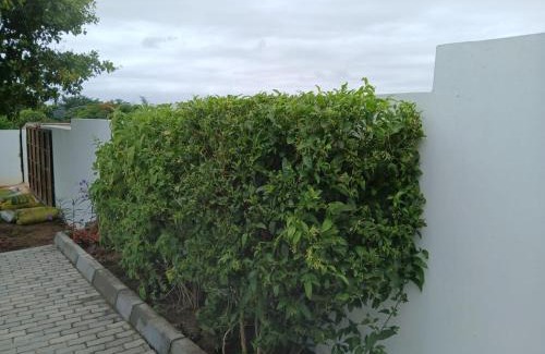 Marracuene House | Ntsudini 2