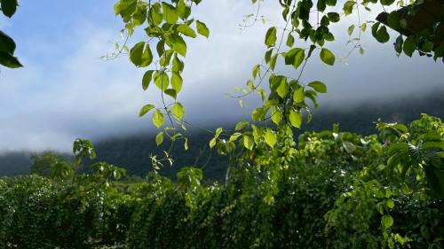 Lan Sak House | NUBDAO 168 Homestay