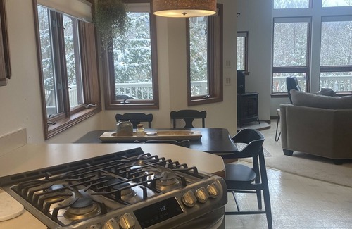 Harbor Springs House | Nubs Nob Highlands chalet in Hidden Hamlet on 2 acres! Family Friendly