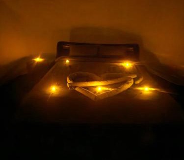 Saint-Jean-d'Elle Other | Nuit insolite dans une bulle avec jacuzzi privatif