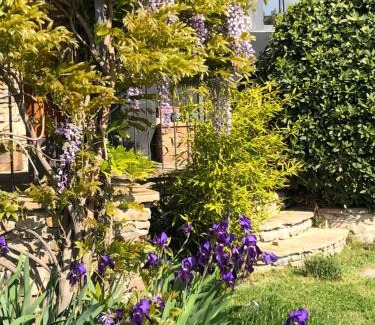 Belvedere Langhe Resort | Number 10 Locanda B&B