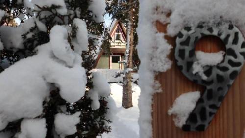Schellbronn House | Nur Dach Ferienhaus Für Vier Personen