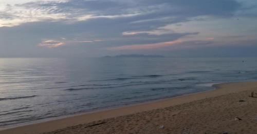 Marang House | Nuri Homestay Rusila 2