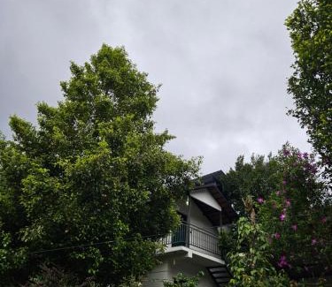 Kunchithanny Apartment | Nutmeg shades Cottage
