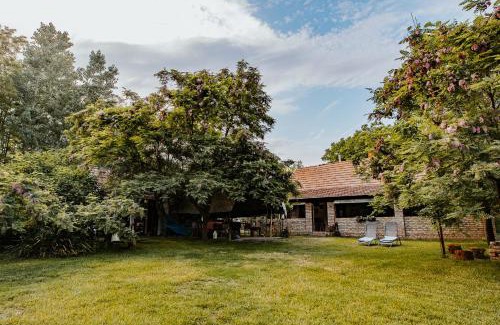 Ruzsa House | Nyugalom az erdő közepén Ruzsa