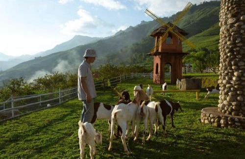 Hau Thao House | O Châu Homestay Lào Cai