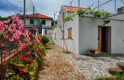 Sao Jorge House | O Lagar do Avô, a Home in Madeira