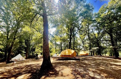 Manziana Other | OAK Glamping Relax