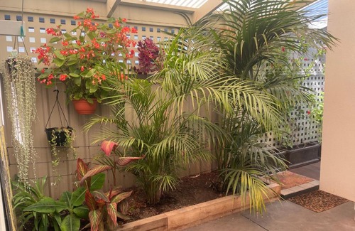 Glenelg North Apartment | oasis by the beach